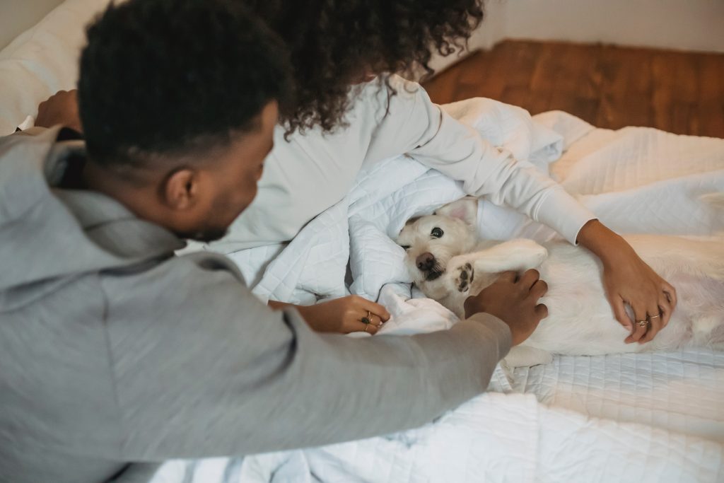 couple in bed petting dog